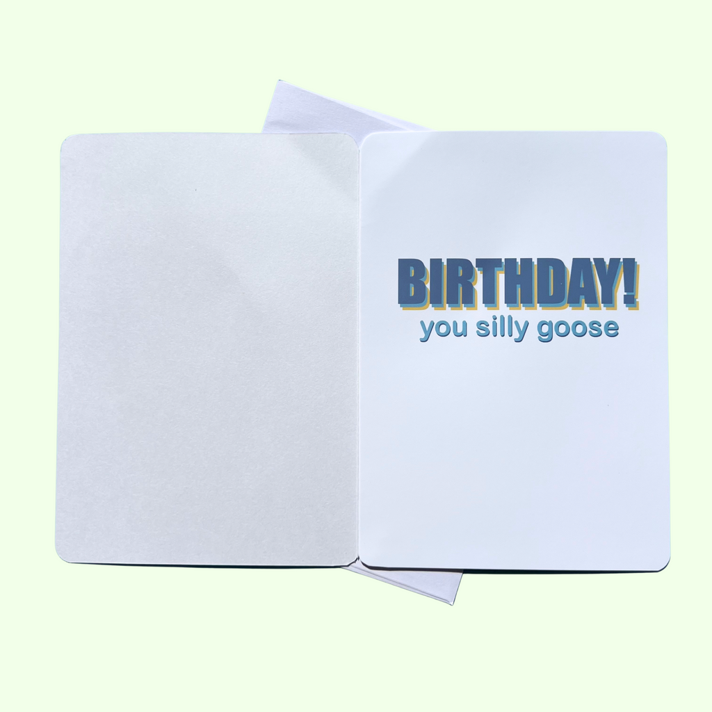 Silly Goose Birthday